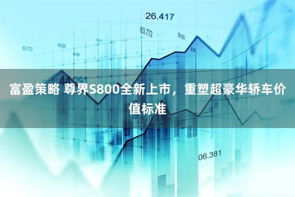 富盈策略 尊界S800全新上市，重塑超豪华轿车价值标准