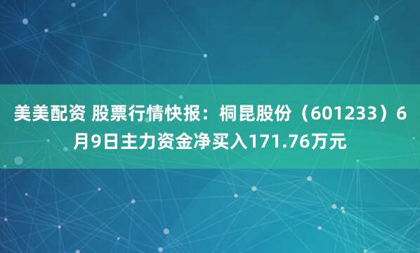 美美配资 股票行情快报：桐昆股份（601233）6月9日主力资金净买入171.76万元