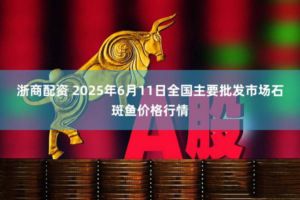 浙商配资 2025年6月11日全国主要批发市场石斑鱼价格行情