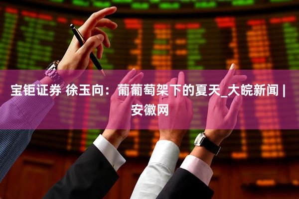 宝钜证券 徐玉向：葡葡萄架下的夏天_大皖新闻 | 安徽网