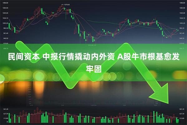 民间资本 中报行情撬动内外资 A股牛市根基愈发牢固
