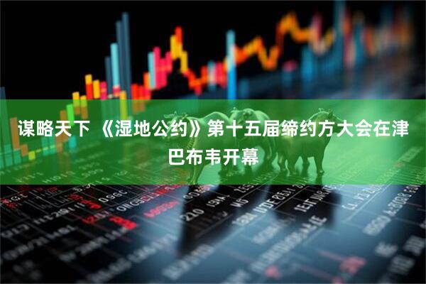 谋略天下 《湿地公约》第十五届缔约方大会在津巴布韦开幕
