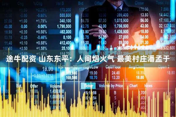 途牛配资 山东东平：人间烟火气 最美村庄潘孟于