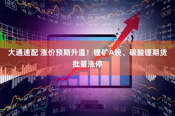 大通速配 涨价预期升温！锂矿A股、碳酸锂期货批量涨停