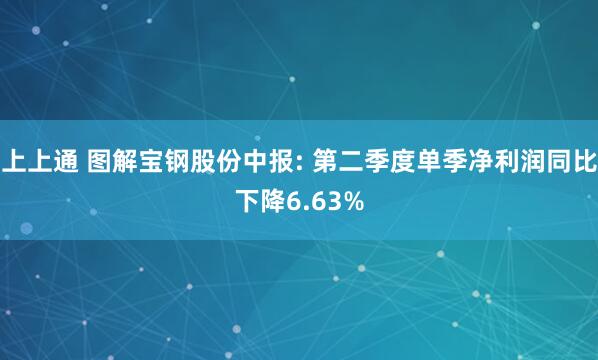 上上通 图解宝钢股份中报: 第二季度单季净利润同比下降6.63%